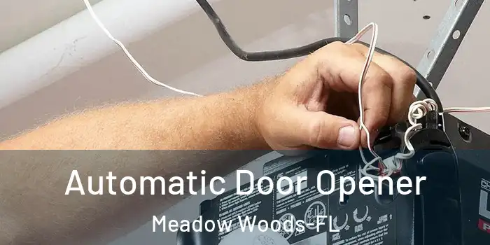 Automatic Door Opener Meadow Woods-FL
