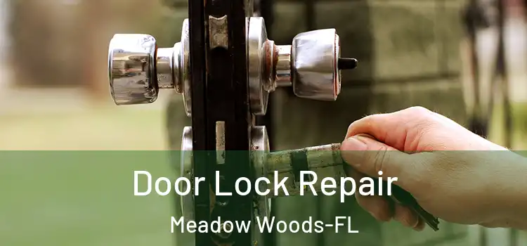 Door Lock Repair Meadow Woods-FL