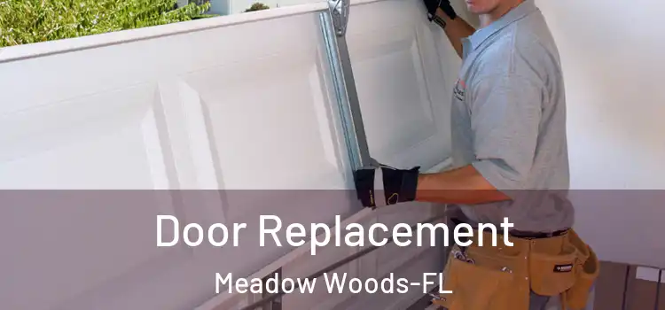 Door Replacement Meadow Woods-FL