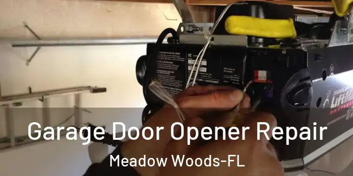 Garage Door Opener Repair Meadow Woods-FL