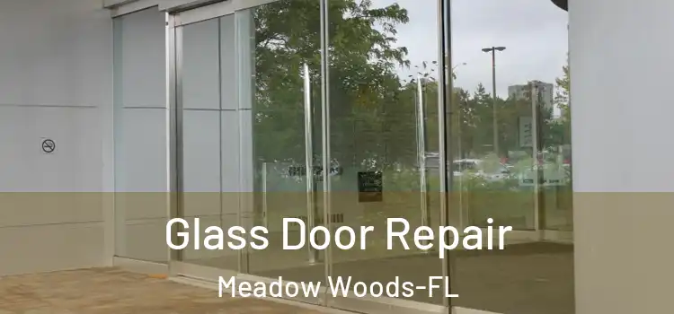 Glass Door Repair Meadow Woods-FL