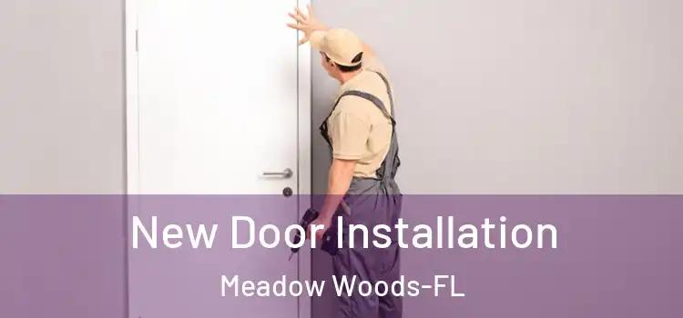 New Door Installation Meadow Woods-FL