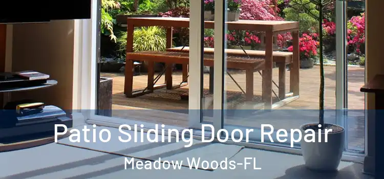 Patio Sliding Door Repair Meadow Woods-FL
