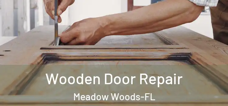 Wooden Door Repair Meadow Woods-FL